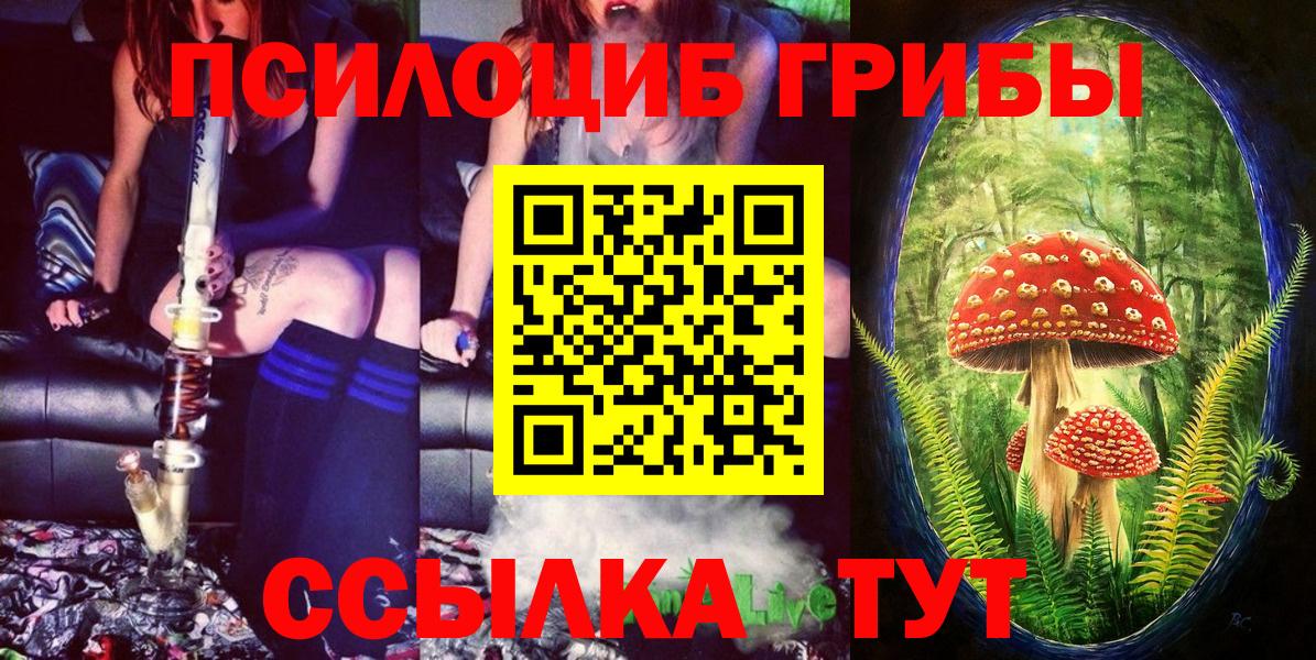 как найти   Вход с VPN  Галлюциногенные грибы мухоморы  Урус-Мартан  Псилоцибиновые грибы Cubensis 